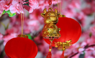 Image of Happy Chinese New Year!
